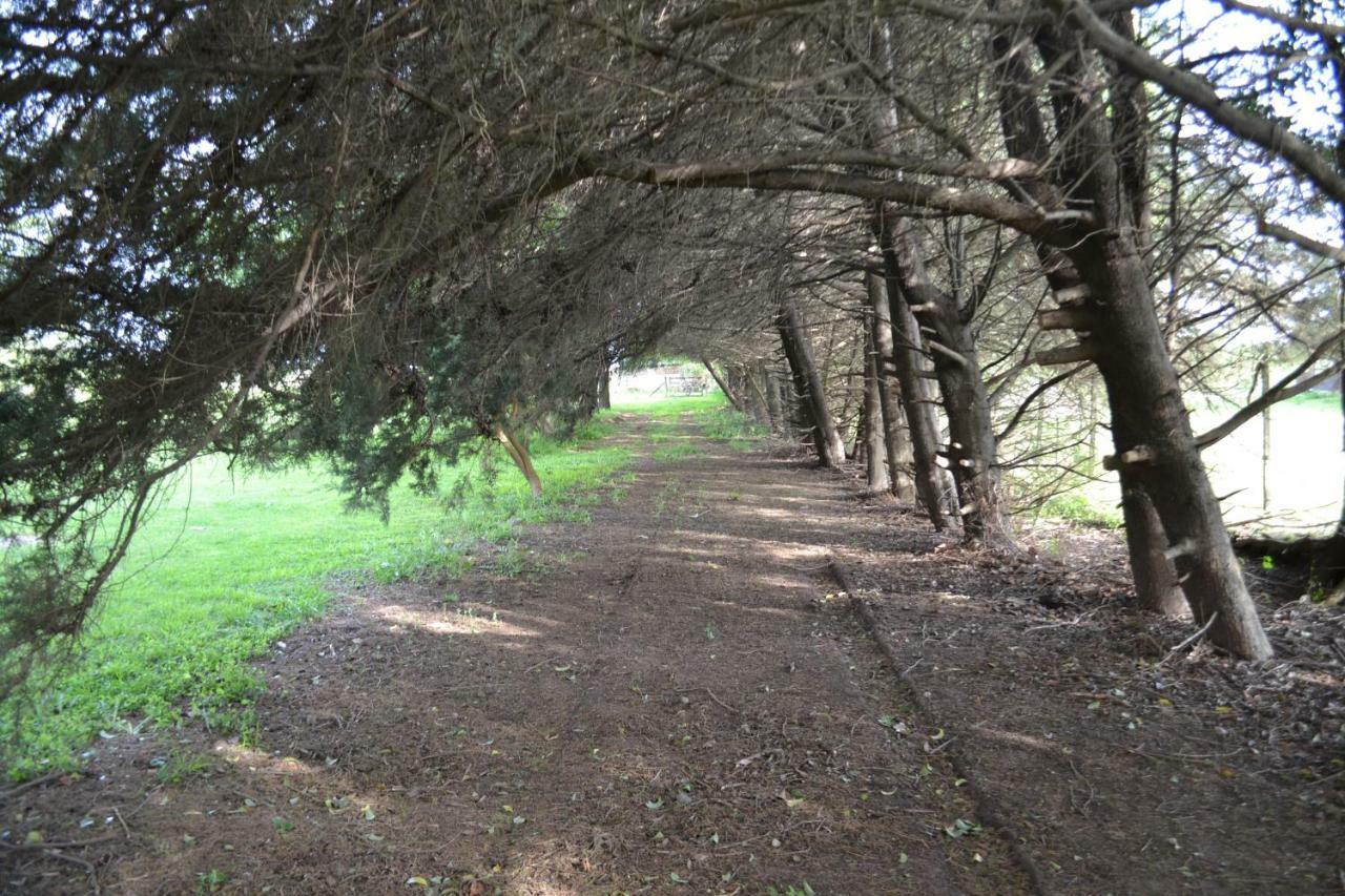 مبيت وإفطار سان أنطونيو دي أريكو El Tramway Casa Antigua De Campo المظهر الخارجي الصورة